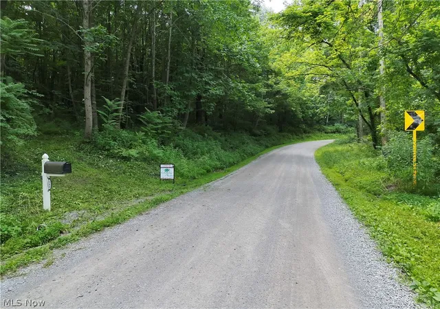 3rd image of 260 Ocelot Rd Ne, Salineville, OH 43945 | MLS# 5226505