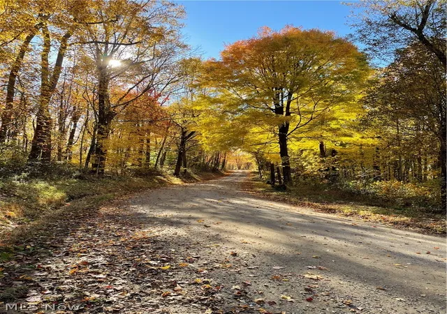 4th image of 260 Ocelot Rd Ne, Salineville, OH 43945 | MLS# 5226505