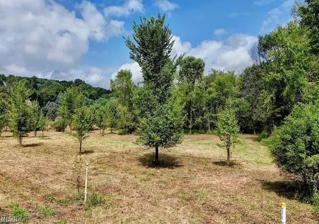 5th image of Swonger Rd, Dover, OH 44622 | MLS# 5227229
