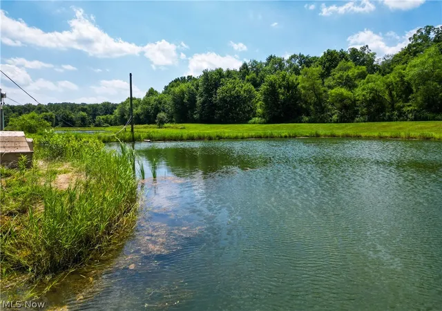 20th image of 1633 State Route 60, Millersburg, OH 44654 | MLS# 5226055
