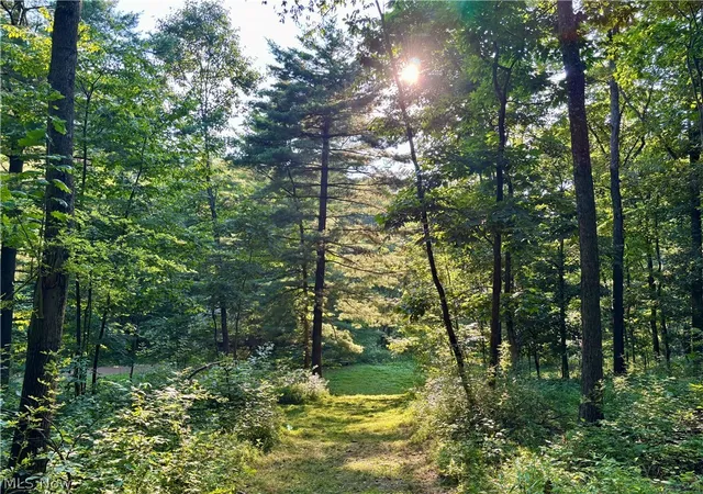 1st image of 5620 Township Road 212, Lakeville, OH 44638 | MLS# 5227428
