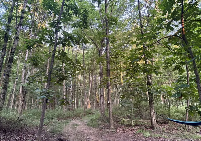 8th image of 5620 Township Road 212, Lakeville, OH 44638 | MLS# 5227428