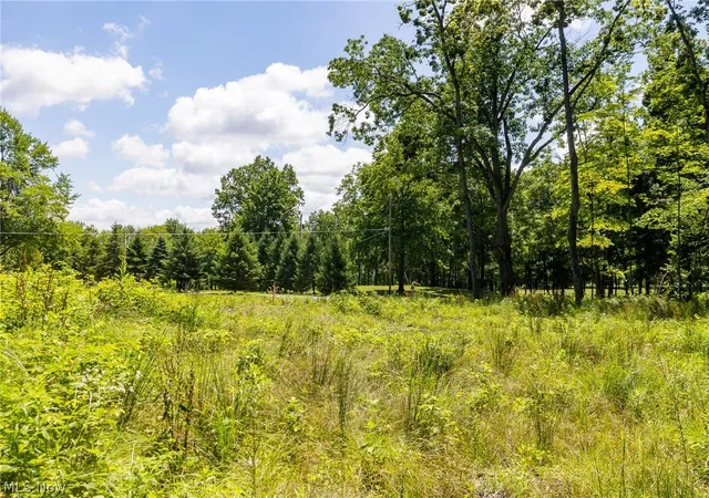 Homes for sale in Diamond, OH | Wayland Rd, Diamond, OH 44412 | MLS# 5227475