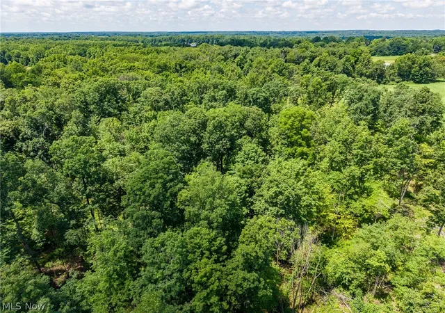 Homes for sale in Diamond, OH | Wayland Rd, Diamond, OH 44412 | MLS# 5227475
