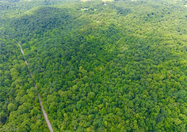 3rd image of Big Run Rd, Cutler, OH 45724 | MLS# 5227467