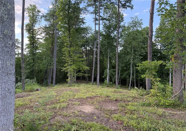 Photo 1 of Land for sale at 0 Fisher Ridge Rd Tract 1, Fleming, OH 45729 | MLS# 5227304 | Listing updated on 2026-08-08