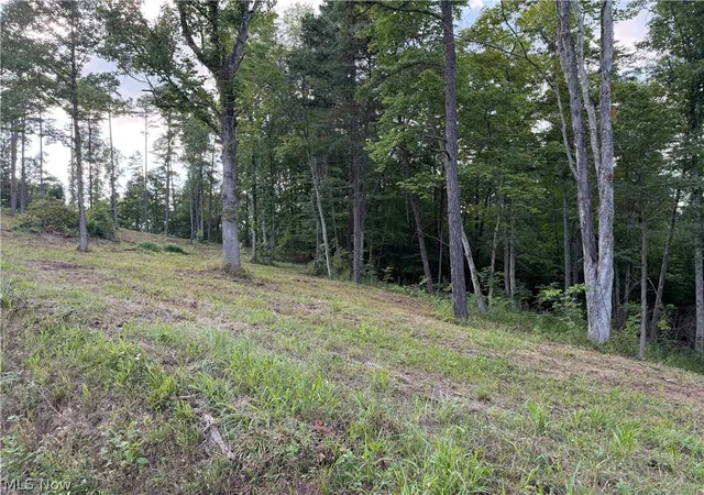 Photo 3 of Land for sale at 0 Fisher Ridge Rd Tract 1, Fleming, OH 45729 | MLS# 5227304 | Listing updated on 2026-08-08