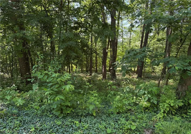 Photo 2 of Sale Pending at 0 Fisher Ridge Rd Tract 6, Fleming, OH 45729 | MLS# 5227322 | Listing updated on 2026-10-06