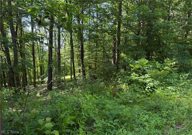 Photo 3 of Sale Pending at 0 Fisher Ridge Rd Tract 6, Fleming, OH 45729 | MLS# 5227322 | Listing updated on 2026-10-06