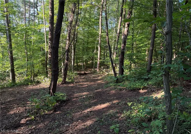 Photo 3 of Sale Pending at 0 Fisher Ridge Rd Tract 6, Fleming, OH 45729 | MLS# 5227322 | Listing updated on 2026-10-06