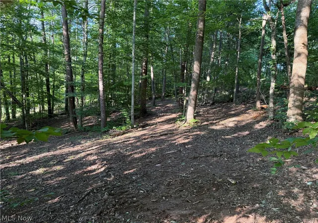 Photo 4 of Sale Pending at 0 Fisher Ridge Rd Tract 6, Fleming, OH 45729 | MLS# 5227322 | Listing updated on 2026-10-06
