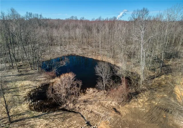 Photo 3 of Land for sale at County Line Rd, Madison, OH 44057 | MLS# 5227162 | Listing updated on 2026-07-15