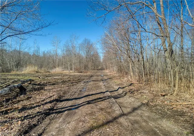 8th image of County Line Rd, Madison, OH 44057 | MLS# 5227162