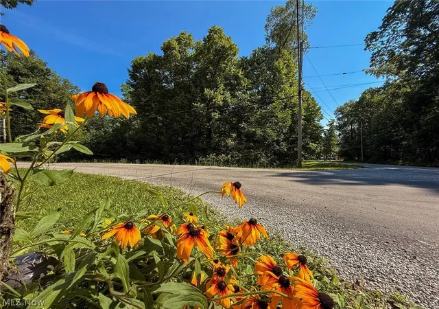 Photo 3 of Land for sale at Maderia Dr, West Salem, OH 44287 | MLS# 5227819 | Listing updated on 2026-07-16