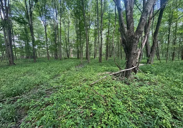 Photo 3 of Land for sale at Shafer Rd, Warren, OH 44481 | MLS# 5227964 | Listing updated on 2026-08-27