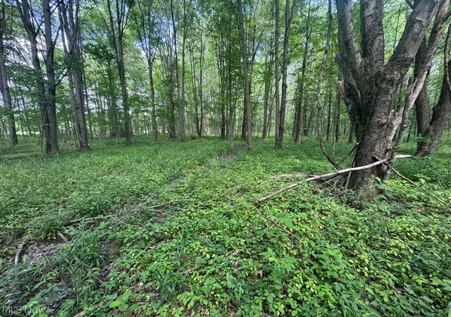 Photo 3 of Land for sale at Shafer Rd, Warren, OH 44481 | MLS# 5227964 | Listing updated on 2026-08-27