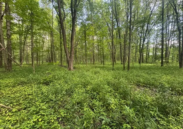 Photo 4 of Land for sale at Shafer Rd, Warren, OH 44481 | MLS# 5227964 | Listing updated on 2026-08-27