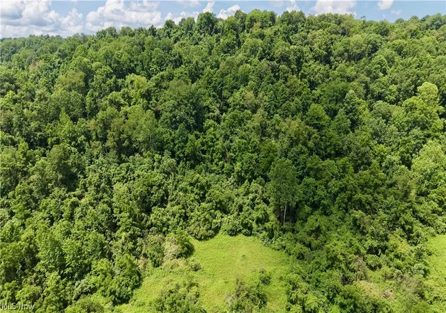 2nd image of 0 Temperanceville Hwy, Barnesville, OH 43713 | MLS# 5224550