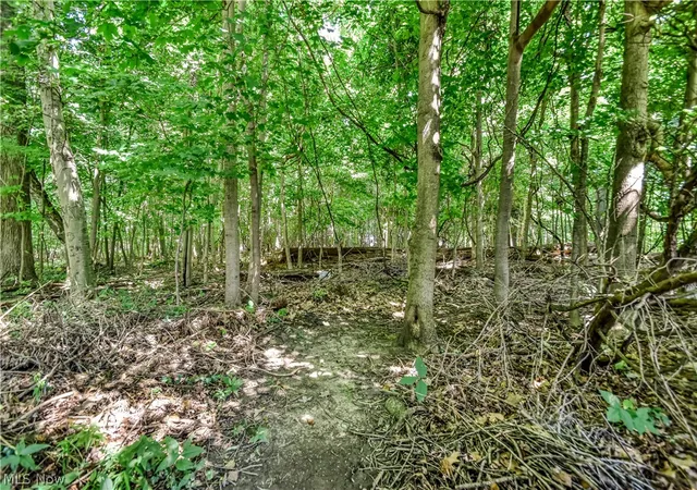 44th image of 6515 Chase Dr, Mentor, OH 44060 | MLS# 5228002