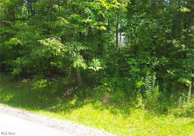3rd image of 1151 Laurel Dr, West Salem, OH 44287 | MLS# 5228087