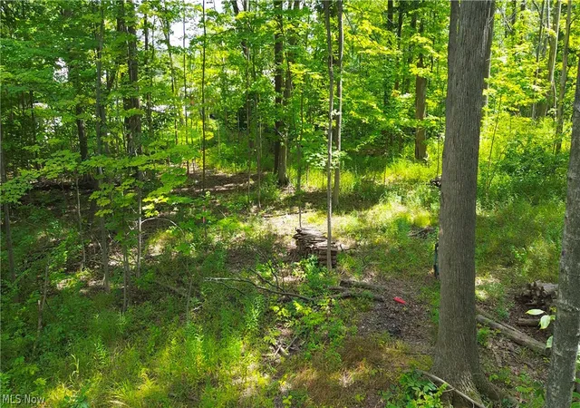 4th image of 1151 Laurel Dr, West Salem, OH 44287 | MLS# 5228087