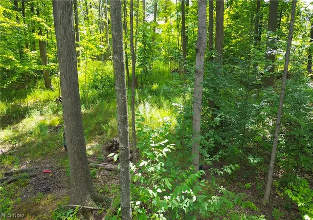 5th image of 1151 Laurel Dr, West Salem, OH 44287 | MLS# 5228087
