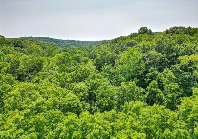 4th image of 11001 Crawford Ln, New Concord, OH 43762 | MLS# 5228095