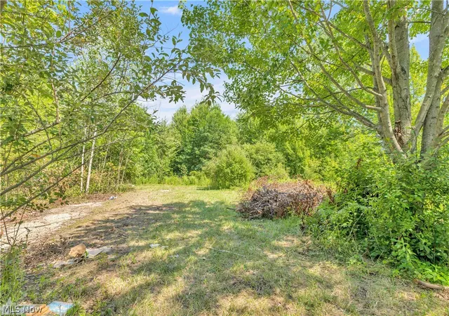 19th image of 8935 Oberlin Rd, Elyria, OH 44035 | MLS# 5227986