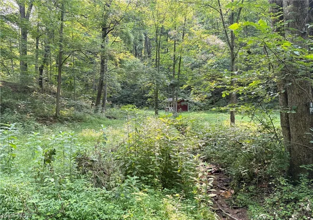 Photo 3 of Sale Pending at 0 Twp Rd 369, Clarington, OH 43915 | MLS# 5228441 | Listing updated on 2026-08-27