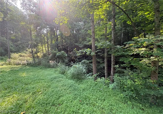 Photo 3 of Sale Pending at 0 Twp Rd 369, Clarington, OH 43915 | MLS# 5228441 | Listing updated on 2026-08-27