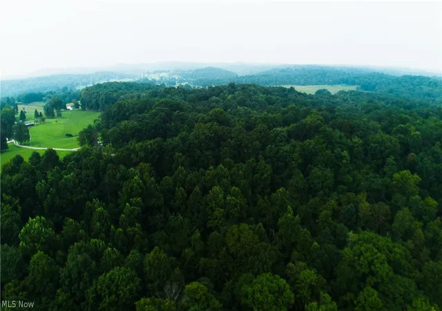 Photo 2 of Land for sale at 0 Carpenter Ln, Waverly, WV 26184 | MLS# 5228752 | Listing updated on 2026-07-21