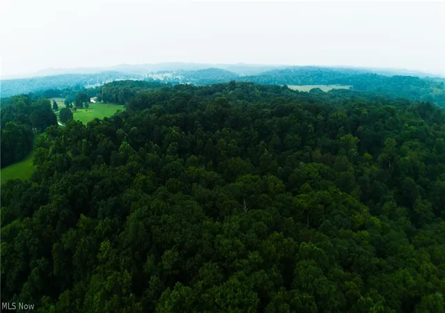 Photo 3 of Land for sale at 0 Carpenter Ln, Waverly, WV 26184 | MLS# 5228752 | Listing updated on 2026-07-21