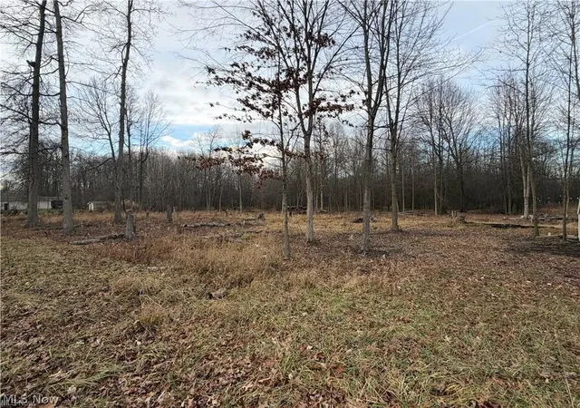3rd image of W Nevada Ave, Sebring, OH 44672 | MLS# 5228804