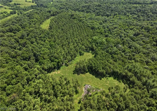 Photo 1 of Sale Pending at 0 E Tract D Reinersville Rd, Mc Connelsville, OH 43756 | MLS# 5228772 | Listing updated on 2026-08-26