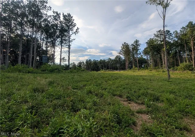 Photo 2 of Sale Pending at 0 E Tract D Reinersville Rd, Mc Connelsville, OH 43756 | MLS# 5228772 | Listing updated on 2026-08-26