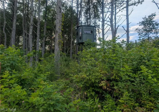 Photo 3 of Sale Pending at 0 E Tract D Reinersville Rd, Mc Connelsville, OH 43756 | MLS# 5228772 | Listing updated on 2026-08-26