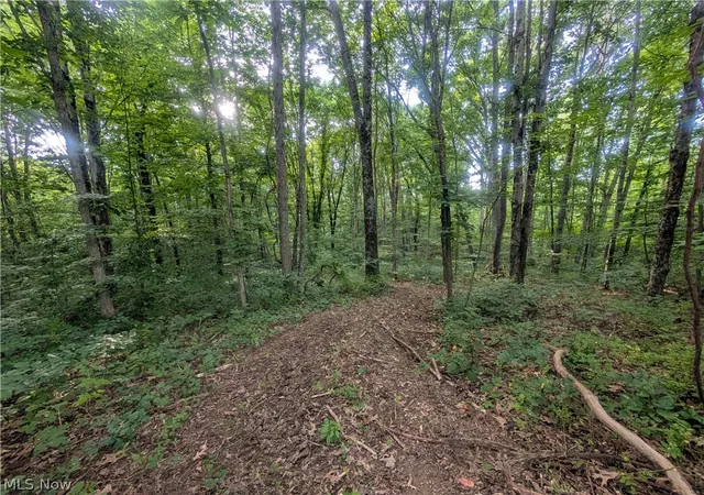 Photo 5 of Sale Pending at 0 Tract Abcd Early Ridge Rd, Mc Connelsville, OH 43756 | MLS# 5228774 | Listing updated on 2026-08-26