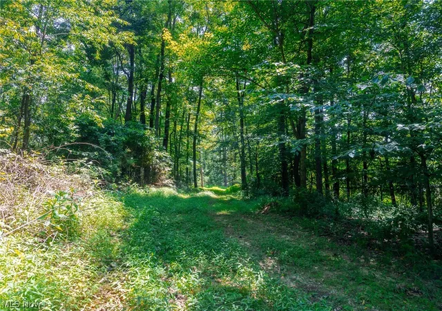 1st image of 31800 Chestnut Ridge Rd #1, Danville, OH 43014 | MLS# 5226062