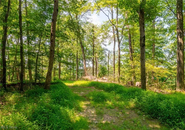 3rd image of 31800 Chestnut Ridge Rd #1, Danville, OH 43014 | MLS# 5226062