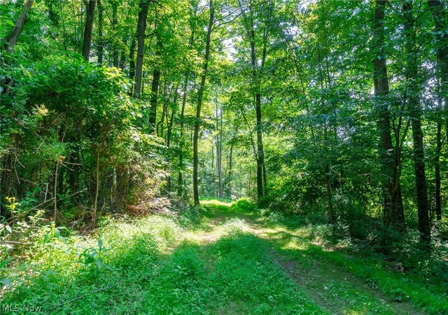 4th image of 31800 Chestnut Ridge Rd #1, Danville, OH 43014 | MLS# 5226062