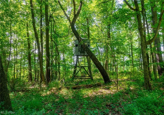 5th image of 31800 Chestnut Ridge Rd #1, Danville, OH 43014 | MLS# 5226062