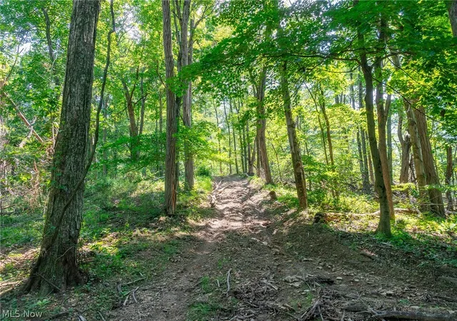 3rd image of 31800 Chestnut Ridge Rd #2, Danville, OH 43014 | MLS# 5226065