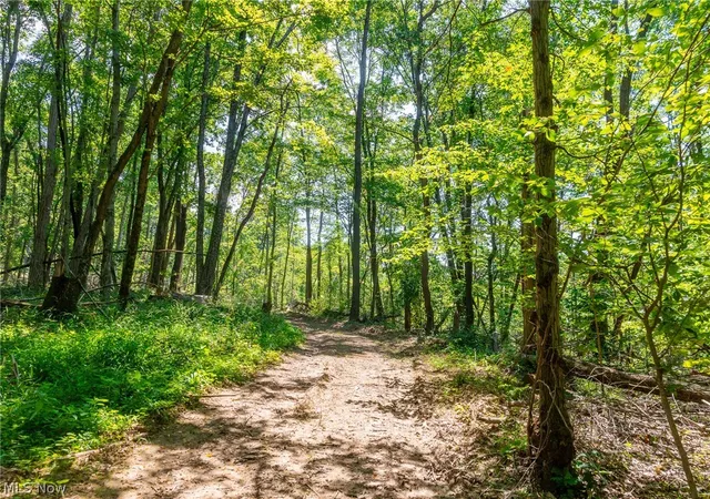 5th image of 31800 Chestnut Ridge Rd #2, Danville, OH 43014 | MLS# 5226065