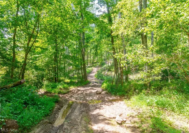 4th image of 31800 Chestnut Ridge Rd #3, Danville, OH 43014 | MLS# 5226071