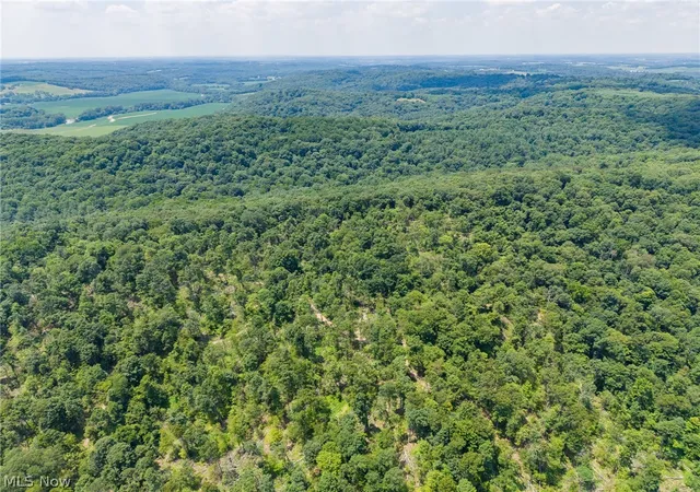 3rd image of 31800 Chestnut Ridge Rd, Danville, OH 43014 | MLS# 5225790