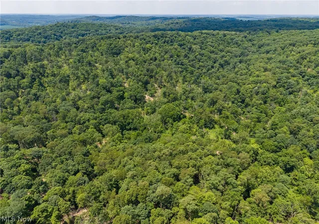 50th image of 31800 Chestnut Ridge Rd, Danville, OH 43014 | MLS# 5225790