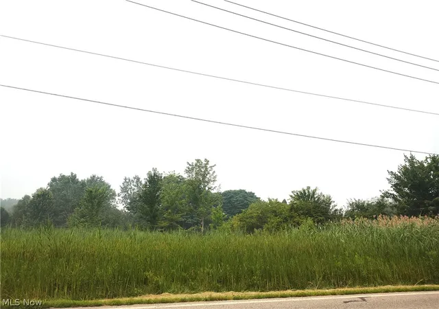 Photo 2 of Land for sale at Vl Mcmackin Rd, Madison, OH 44057 | MLS# 5229156 | Listing updated on 2026-07-24
