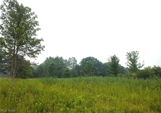 Photo 3 of Land for sale at Vl Mcmackin Rd, Madison, OH 44057 | MLS# 5229156 | Listing updated on 2026-07-24