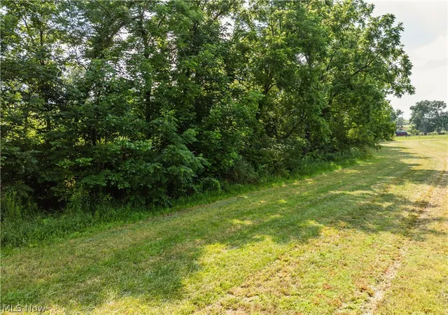 18th image of Orchard St, Baltic, OH 43804 | MLS# 5229390