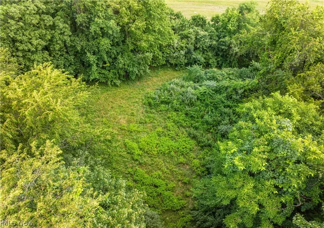 48th image of Township Road 85, Baltic, OH 43804 | MLS# 5229400